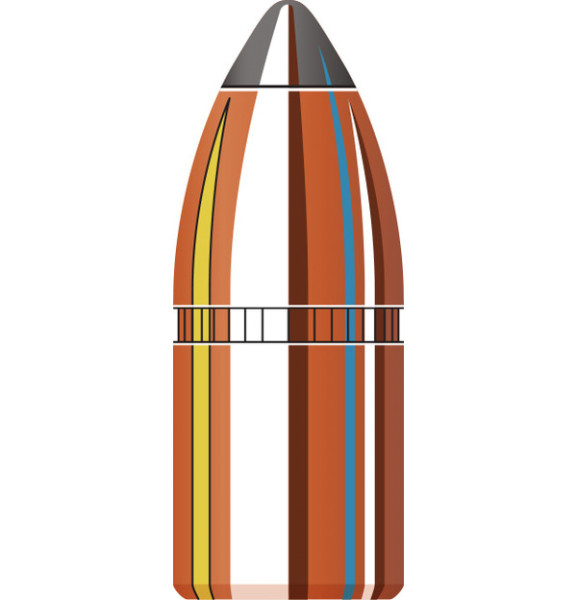 HORNADY INTERLOCK SP .405/411 300GR, VPE: 50STÜCK, #41051